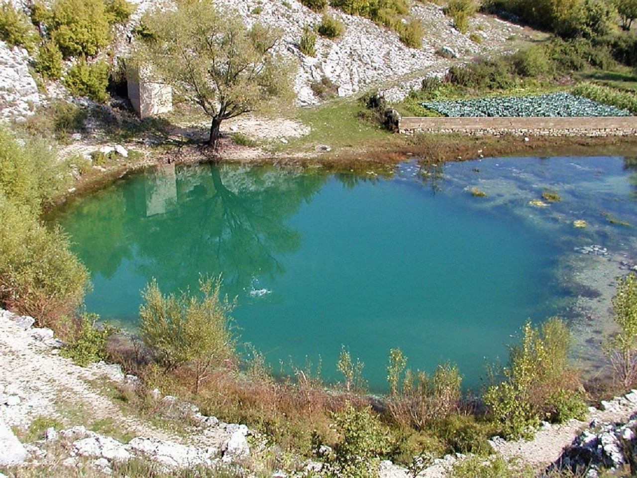 Jezero okruženo kršem Dalmatinske zagore i zelenom vegetacijom.