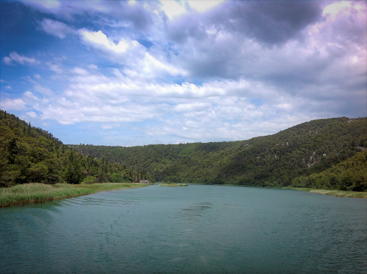 Rijeka Krka i bogata vegetacija na obje obale.