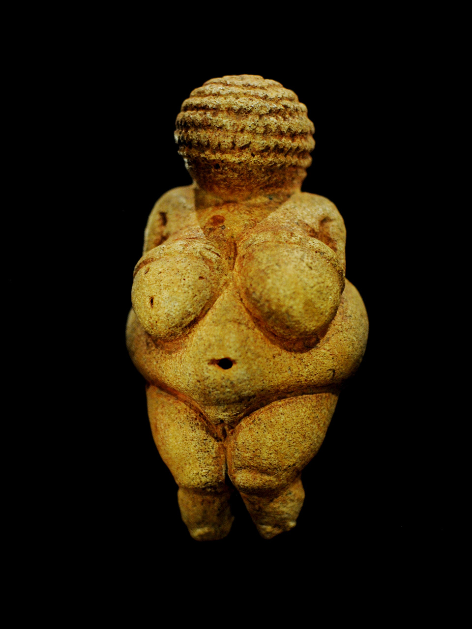 Primjer ženske ljepote Willendorfska Venera