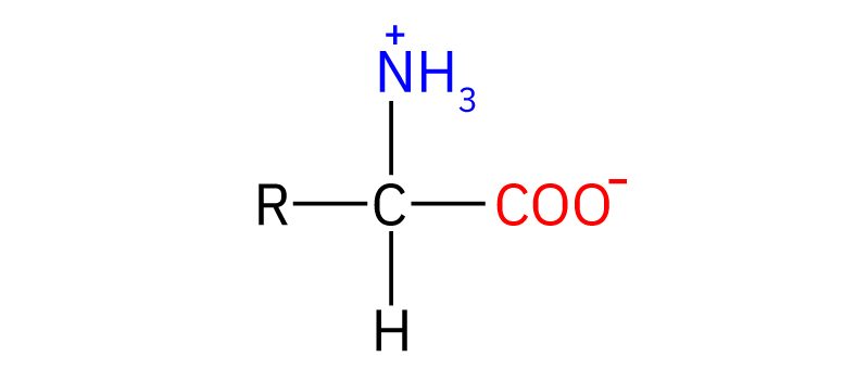 Fotografija prikazuje kation, zwitterion i anion. Prikazani su strukturnim formulama.