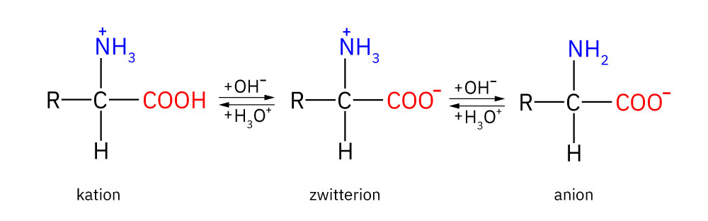 Fotografija prikazuje kation, zwitterion i anion. Prikazani su strukturnim formulama.