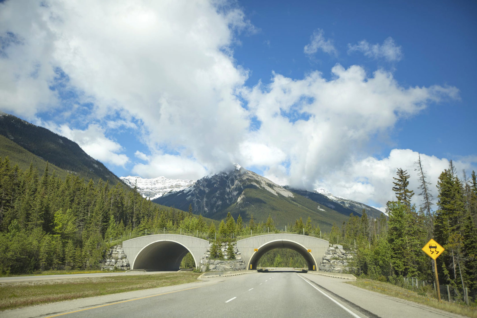 Slika 1. Zeleni most preko autoceste