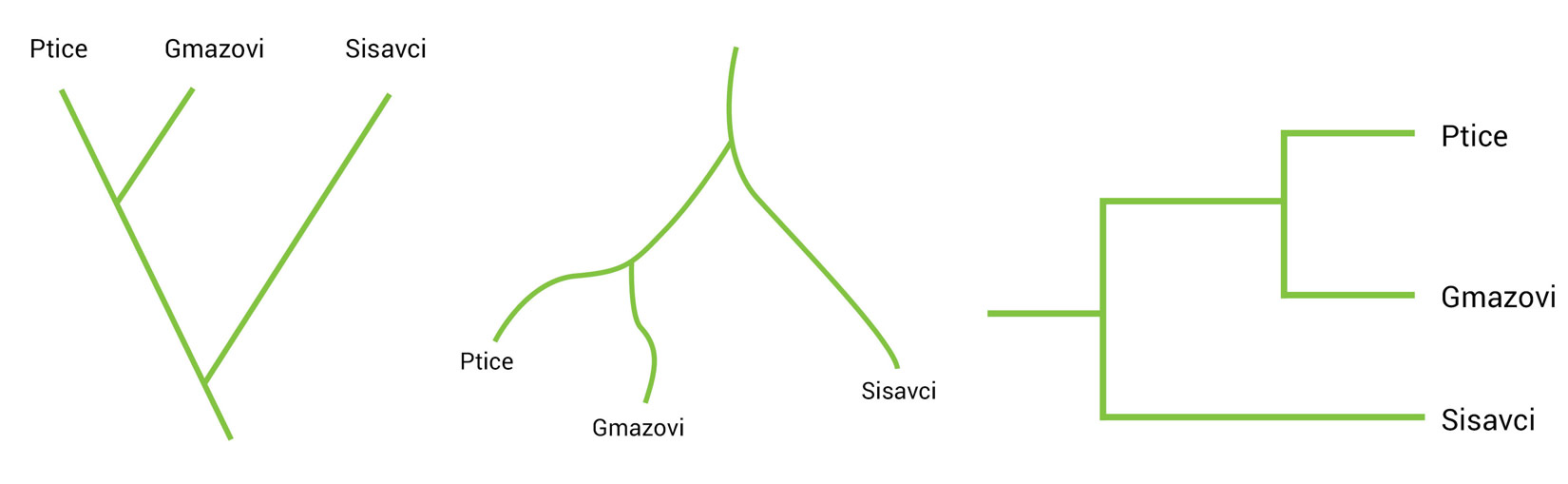 Slika 3. Različiti prikazi kladograma