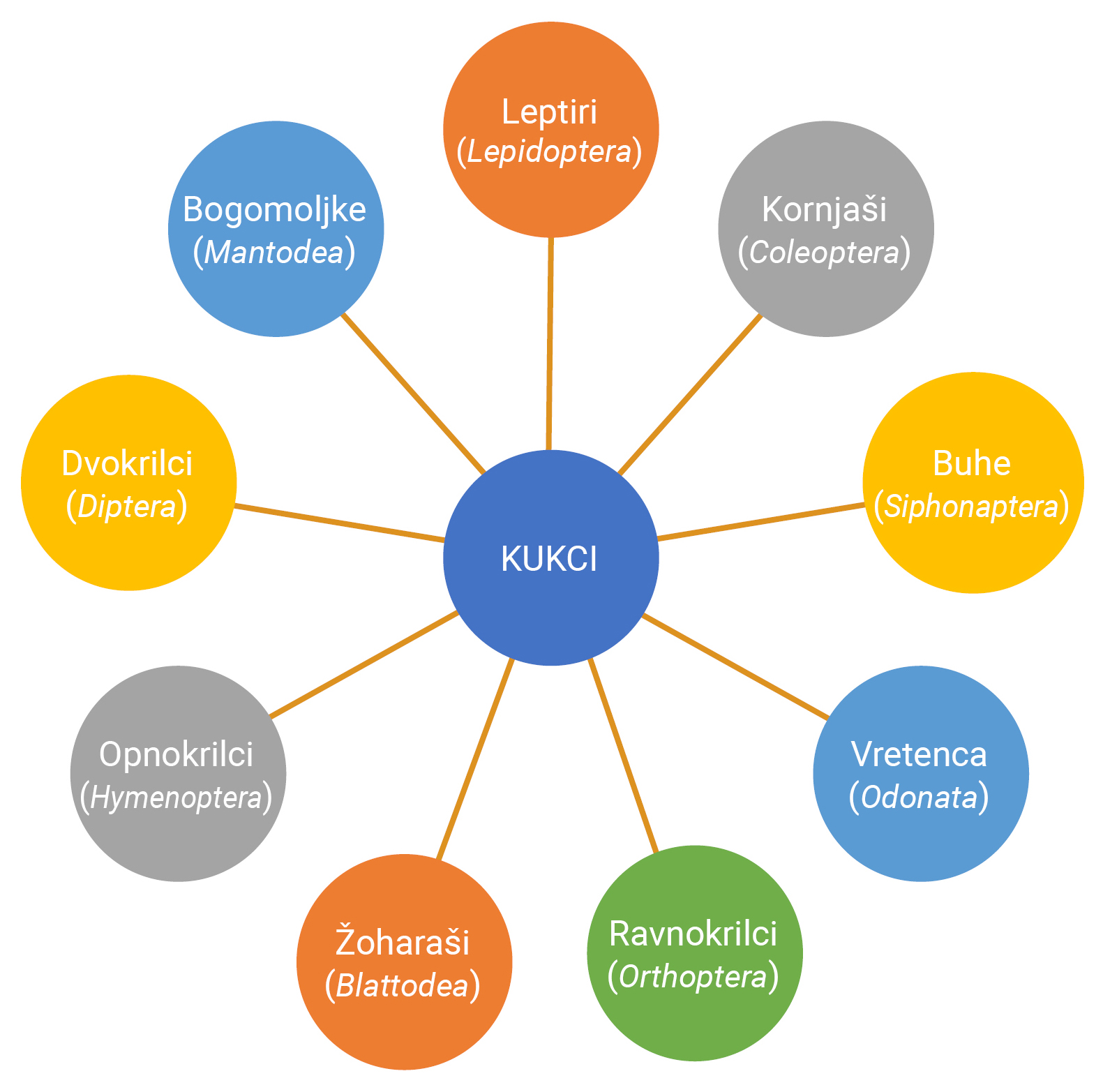 Slika 7. Skupine kukaca