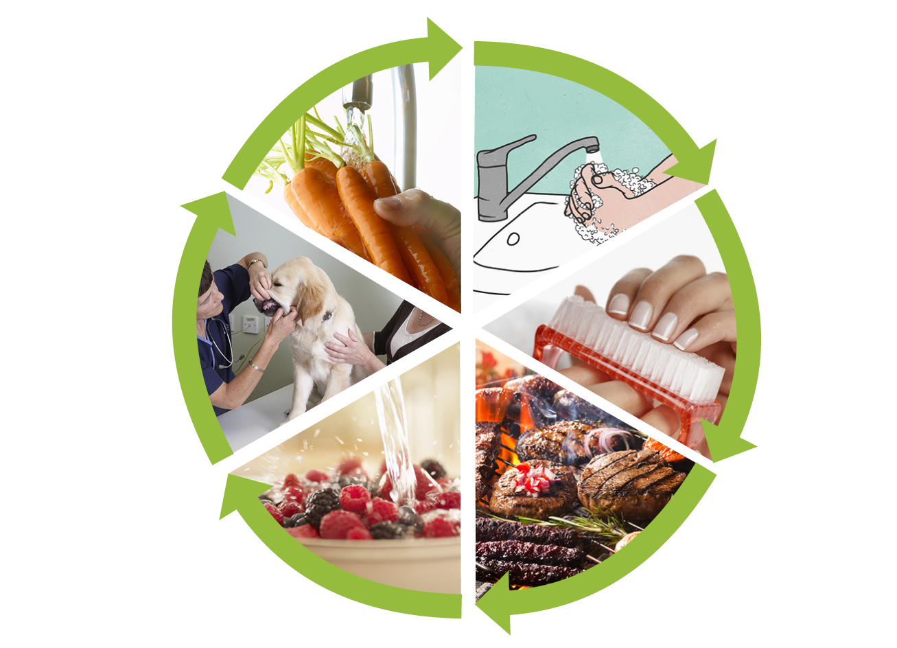 U krugu su prikazane slike kako se može zaštiti od nametničkih plošnjaka i oblića