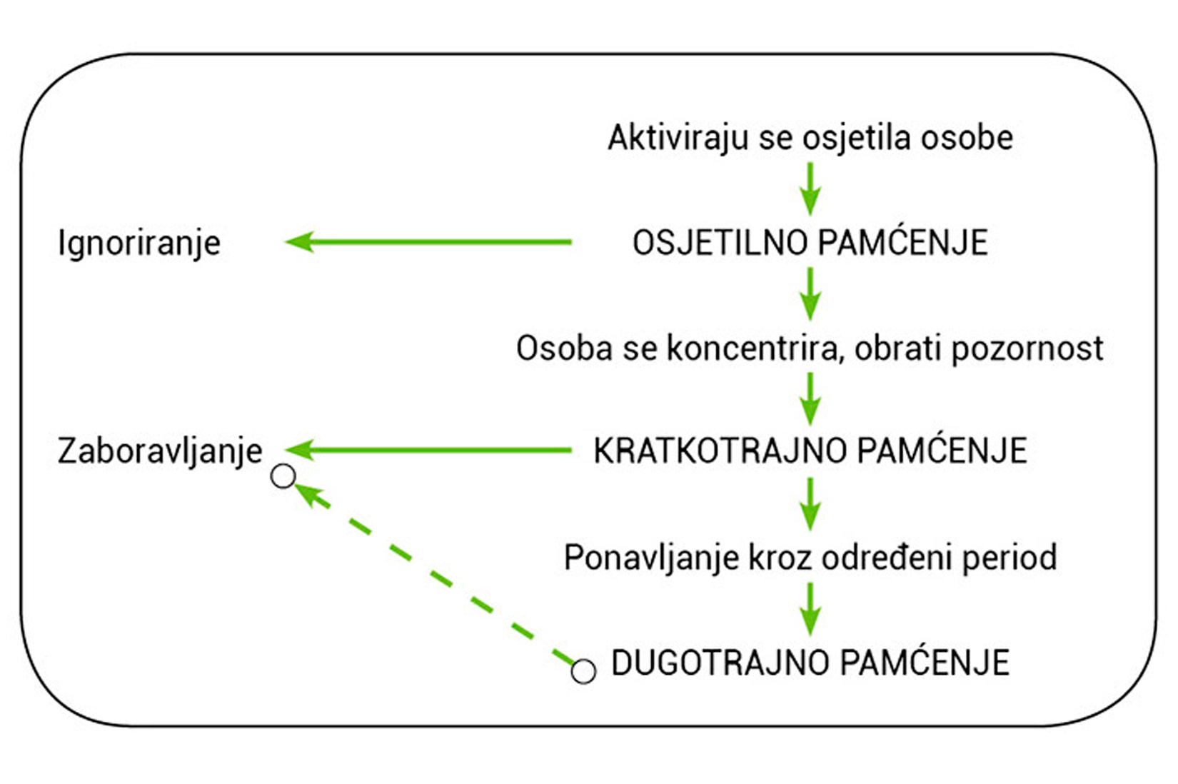 Prikazana je shema različitih načina pamćenja. Prvo se aktiviraju osjetila osobe koji aktiviraju osjetilno pamćenje. To se može ignorirati. Ako se ne ignorira, osoba obrati pozornost i dovodi do kratkotrajnog pamćenja, to možemo zaboraviti ako ne koristimo. Ako pak ponavljamo kroz određeni period postići ćemo dugotrajno pamćenje. Ako to ne upotrebljavamo, opet će doći do zaboravljanja.