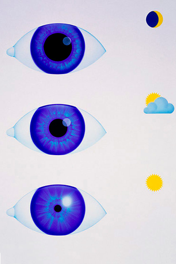 Na slici su prikazana tri položaja zjenice. Kad je sunce jako, zjenica je skupljena, jako mala. ako je poluoblačno, onda je veća, a ako je noć, onda je velika.