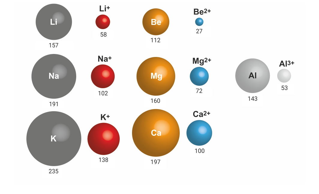 Polumjer atoma i odgovarajućeg kationa / pm; Prikazani su atomi litija, natrija, kalija, berilija, magnezija, kalcija i aluminija.
