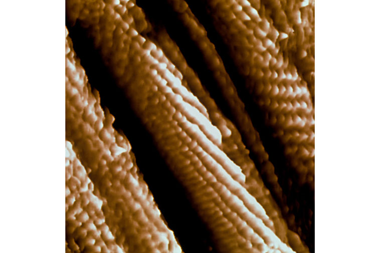 Ugljikove nanocijevi