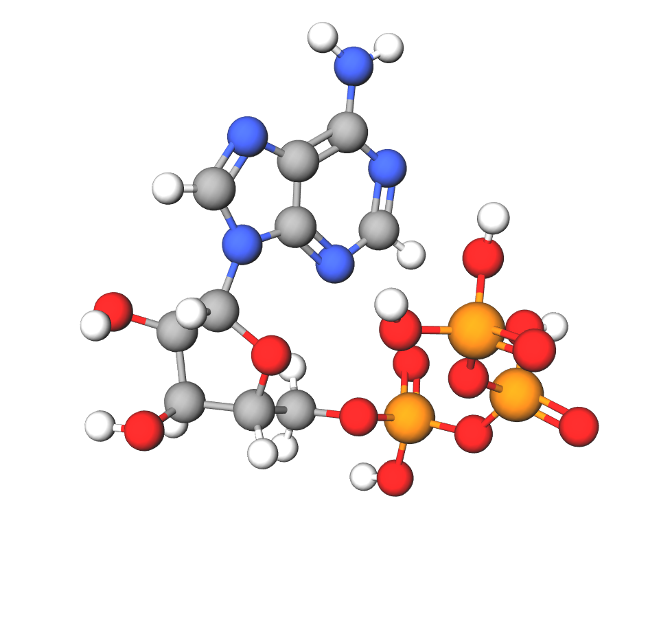 Model molekule adenozin-trifostata (ATP) sastavljenh od kuglica i štapića