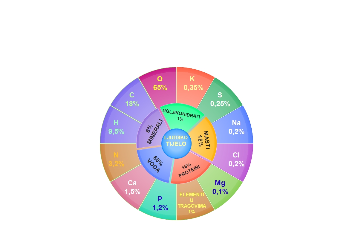 Na slici je prikazan shematski prikaz (okrugli dijagram) masenog udijela najzastupljenijih elemenata u tijelu.Dijagram je prikazan u obliku tri koncentrična kruga u različitim bojama. U sredini piše: ljudsko tijelo . U prvom krugu si napisane tvari od kojih je građeno ljudsko tijelo: voda čini više od pola ljudskog tijela, zatim proteini i masti, minerali i ugljikohidrati.U drugom krugu su napisania zastupljenost elemenata u postocima: najviše ima kisika,ugljika,vodika, dušika,kalcija, fosfora, sumpora,klora,natrija i magnezija. Elementi su nabrojani od najviše ddo najmanje zastupljenih u ljudskom tijelu. Udijeli elemenata prikazani su u različitim bojama.