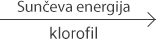 Ugljikohidrati - značajne jednadžbe kemijskih reakcija sunčeva energija i klorofil