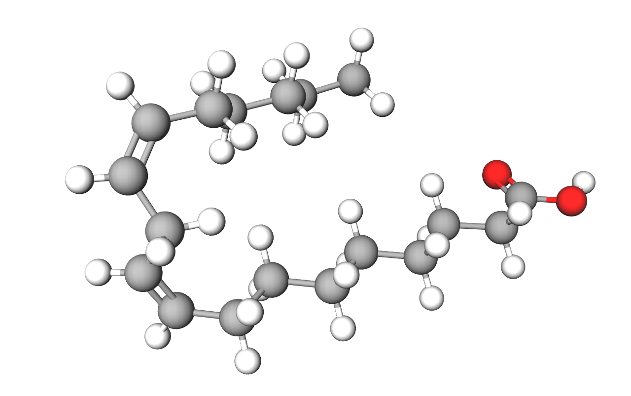 Model molekule linolne kiseline načinjen od kuglica štapića