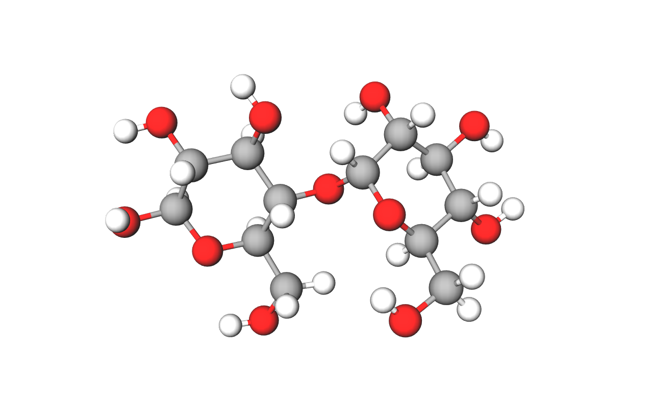 Prikazan je model molekule maltoze načinjen od kuglica i štapića. Maltoza nastaje povezivanjem dviju molekula glukoze koje povezuje jedan atom kisika.
