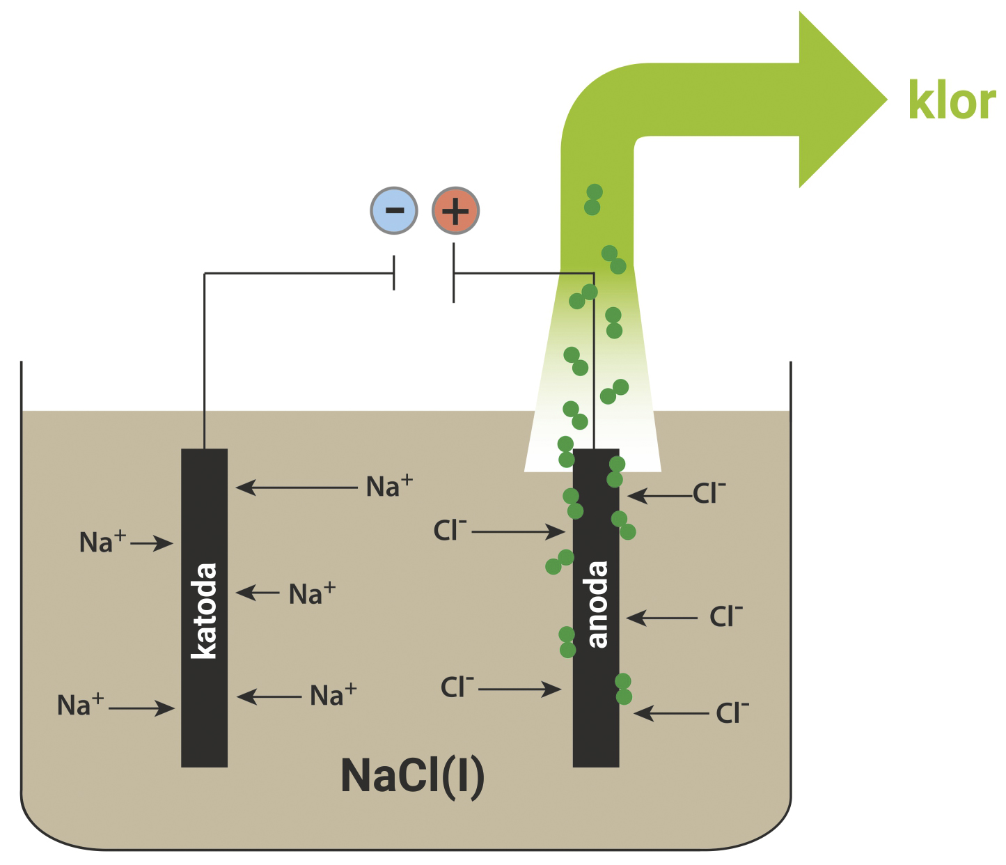 Slika prikazuje elektrolizu natrijevog klorida. Pozitivno nabijeni natrijevi ioni grupiraju se oko negativno nabijene katode, a kloridni ioni putuju prema anodi. Zbog pozitivnog naboja anode kloridni ioni predaju višak elektrona i postaju neutralno nabijene molekule klora koje zatim mogu napustiti otopinu.