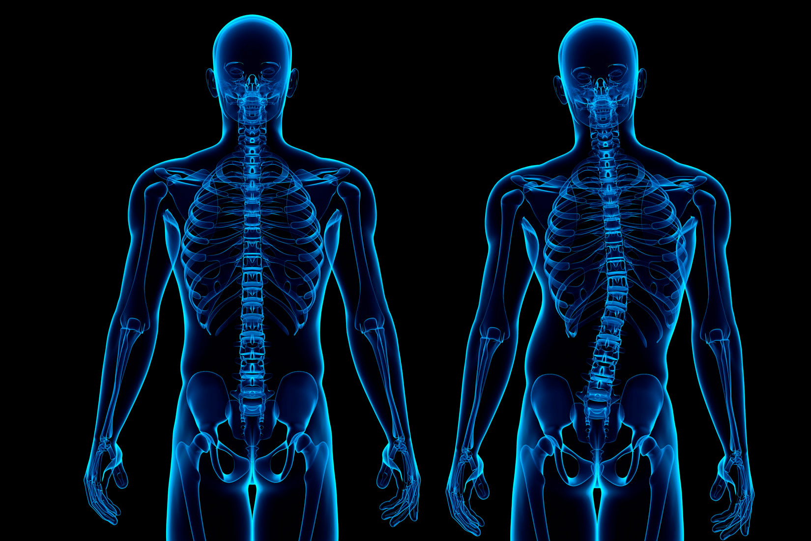 Slika 8. Vide se dva presjeka čovjeka. Lijevi se pravilno drži, a desni ima nepravilno držanje zbog kojeg mu cijelo tijelo ide u lijevu stranu.