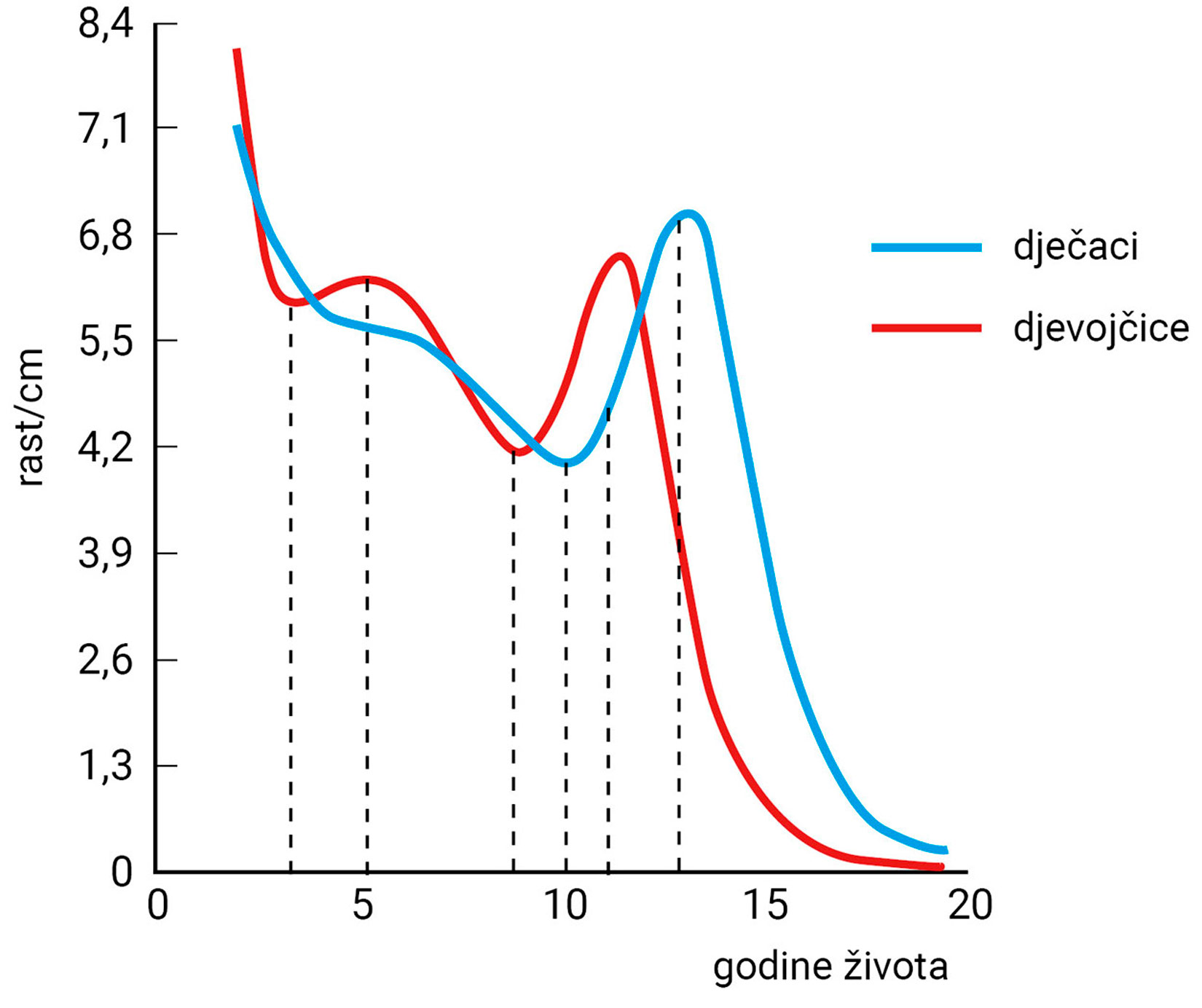 Grafički prikaz 1. Graf prikazuje rast tijekom godina života. Najveći je rastod 10 do 15 godine.