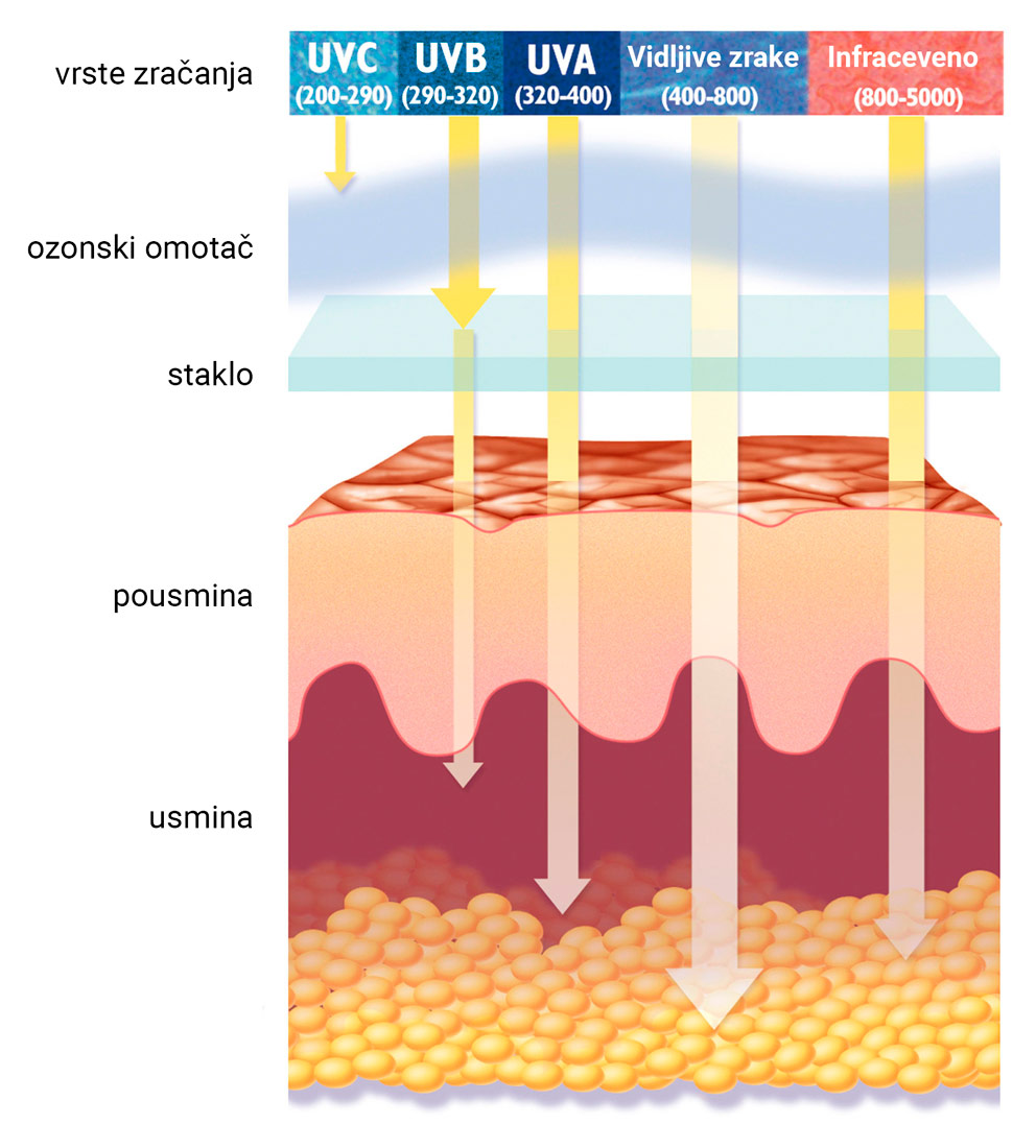 Slika 2. Prikazan je presjek kože i vrste zračenja te koliko duboko u kožu prodiru. UVC zrake ne prodiru kroz ozonski omotač. UVB prodiru kroz ozonski omotač, staklo te pousminu do usmine. UVA prodiru kroz ozonski omotač, staklo te pousminu i duboko u usminu.