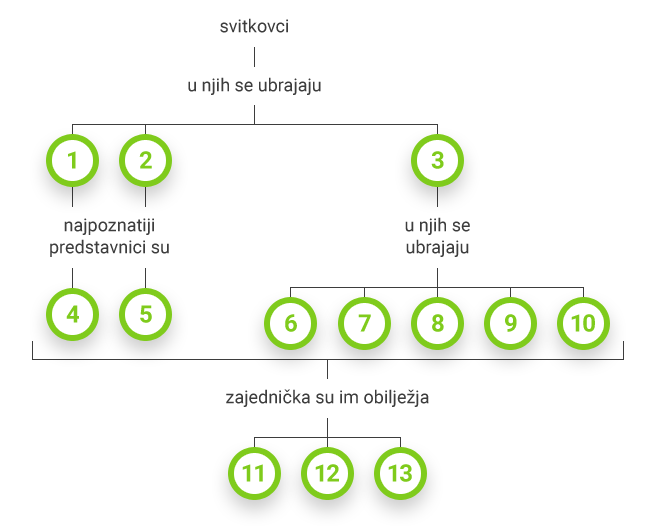 Svitkovci - prikaz