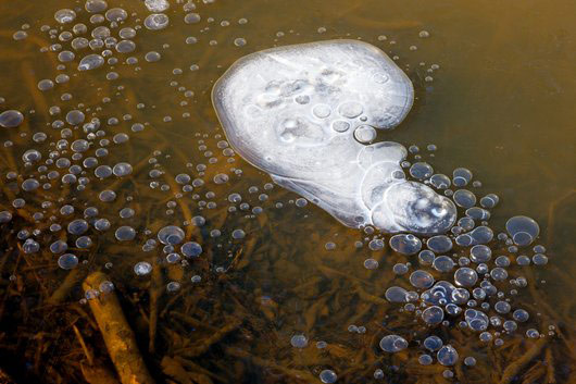 Fotografija prikazuje mjehuriće metana zarobljene u zamrznutoj bari. Metan nastaje raspadanjem organske tvari na dnu bare. Ispod prozirnog leda na površini bare, vide se mnoštvo mjehurića metana.