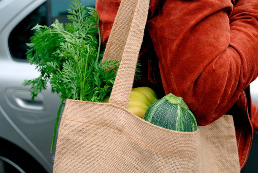 Torba od jute, alternativa plastici