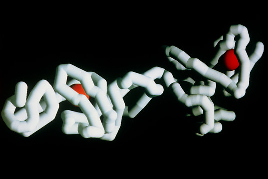 Prikaz modela proteina albumina (trodimenzionalna struktura ovog proteina otkrivena je korištenjem rendgenske kristalografije). Protein izgleda poput dugačke bijele cijevi koja se savija i prelama.