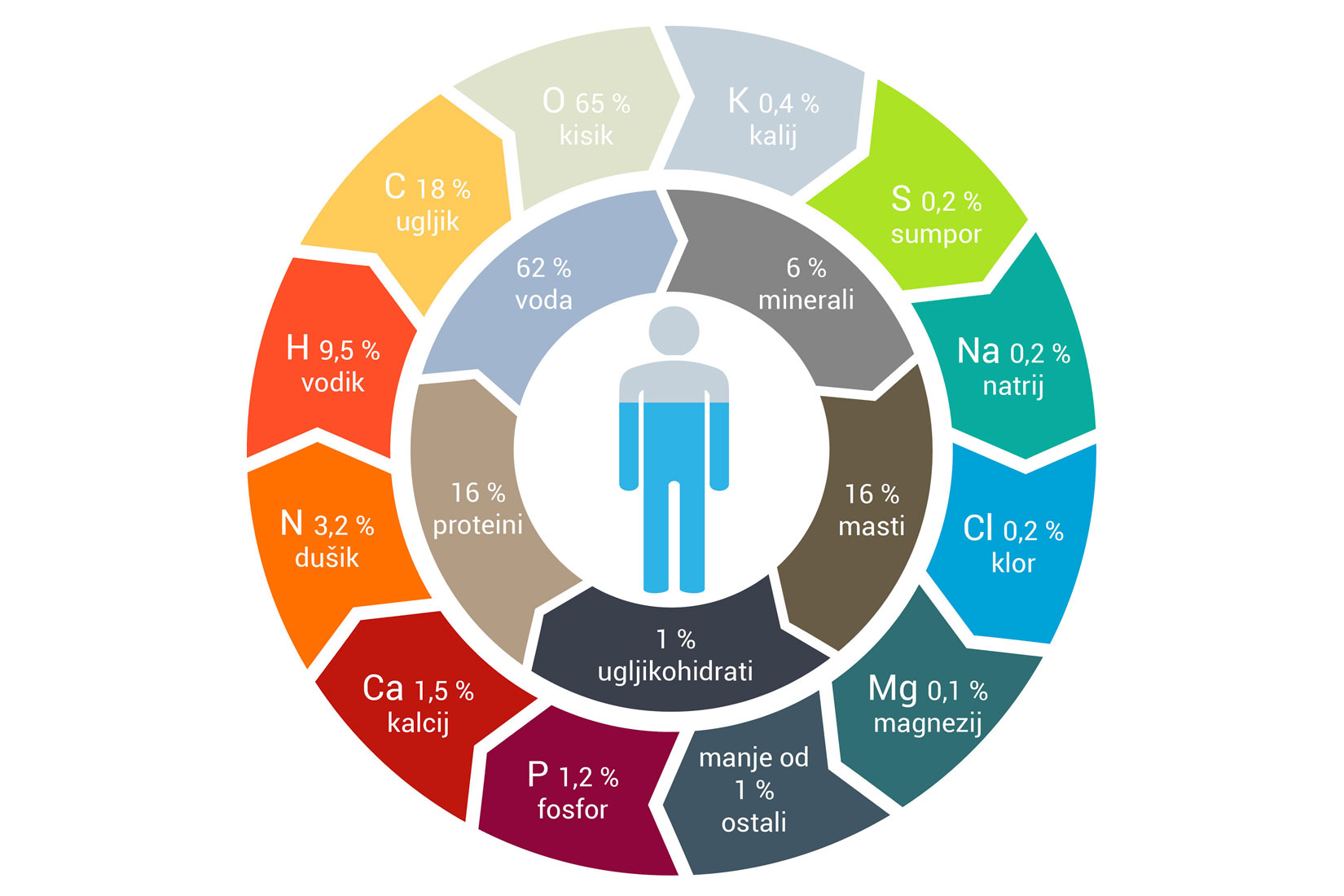 fotografija prikazuje maseni udio kemijskih elemenata u ljudskom organizmu. Prikaz ima dva koncentrična kruga kojima je u sredini grafički prikaz čovjeka.Unutarnji krug ima vodu, proteine, masti, ugljikohidrate i minerale.Vanjski krug prikazuje elemente: kisik, kalij, sumpor, natrij, klor, magnezij, fosfor, kalcij, dušik, vodik, ugljik i ostale.