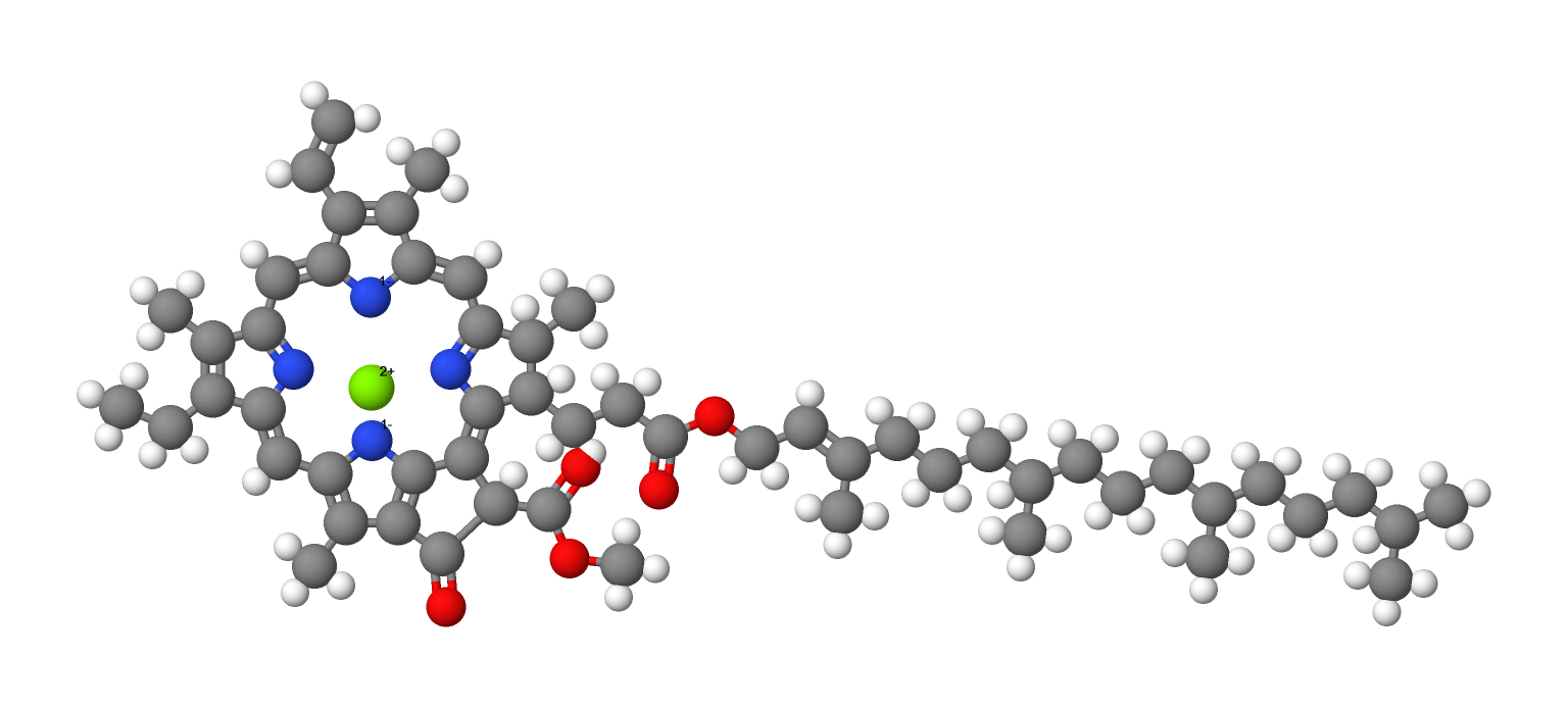 Model molekule klorofila sastavljen od kuglica i štapića