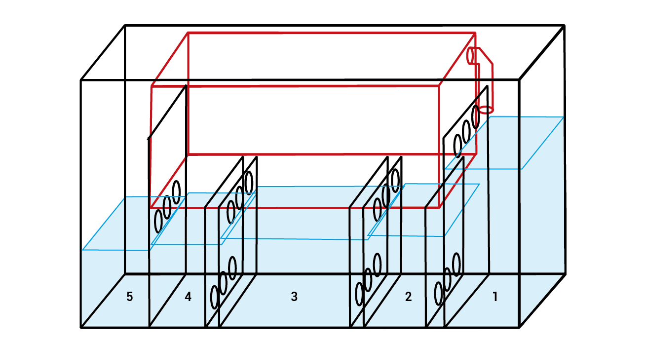 Akvarij za uzgoj virnjaka