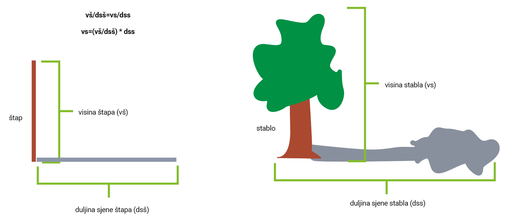 Mjerenje visine stablašica