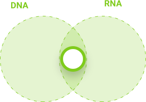 DNA i RNA - zajedničko