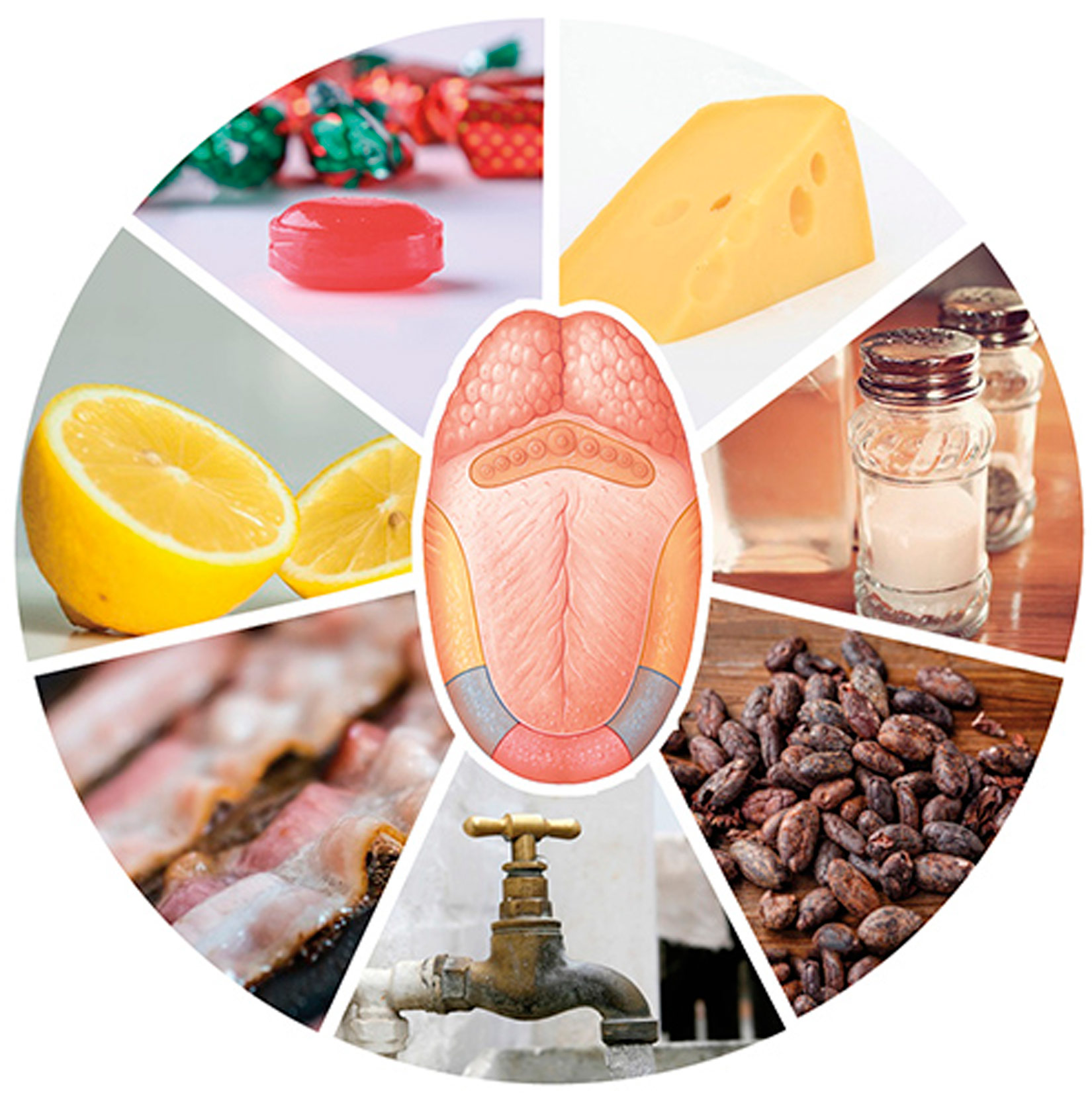 Prikaz nekih od osjeta koje čovjek doživljava pomoću jezika