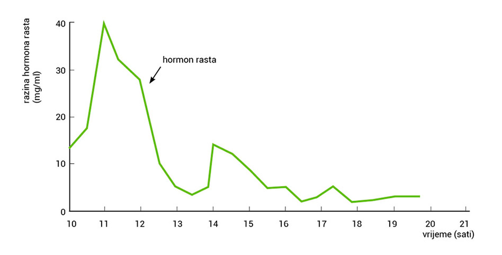 Slika prikazuje graf proizvodnje hormona rasta tijekom dana. na x osi grafa istaknuti su sati od 10 do 21, a na y osi brojevi od 0 do 40 (razmak svakih 10) koji označavaju razinu hormona rasta u mg/ml. najviša razina je oko 11 sati kad je na 40 mg/ml, nakon čega naglo kreće padati i između 13 i 14 sati je na manje od 5 mg/ml, nakon toga raste do 15 mg/ml oko 14 sati i opet pada i ostatak dana ostaje uglavnom ispod 10 mg/ml.