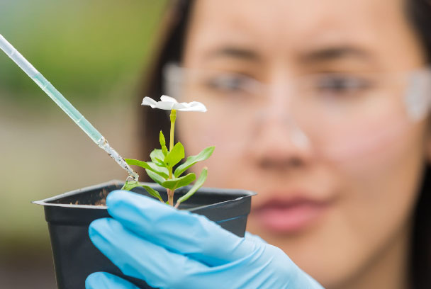 Istraživanja u biologiji – kreiranje pokusa