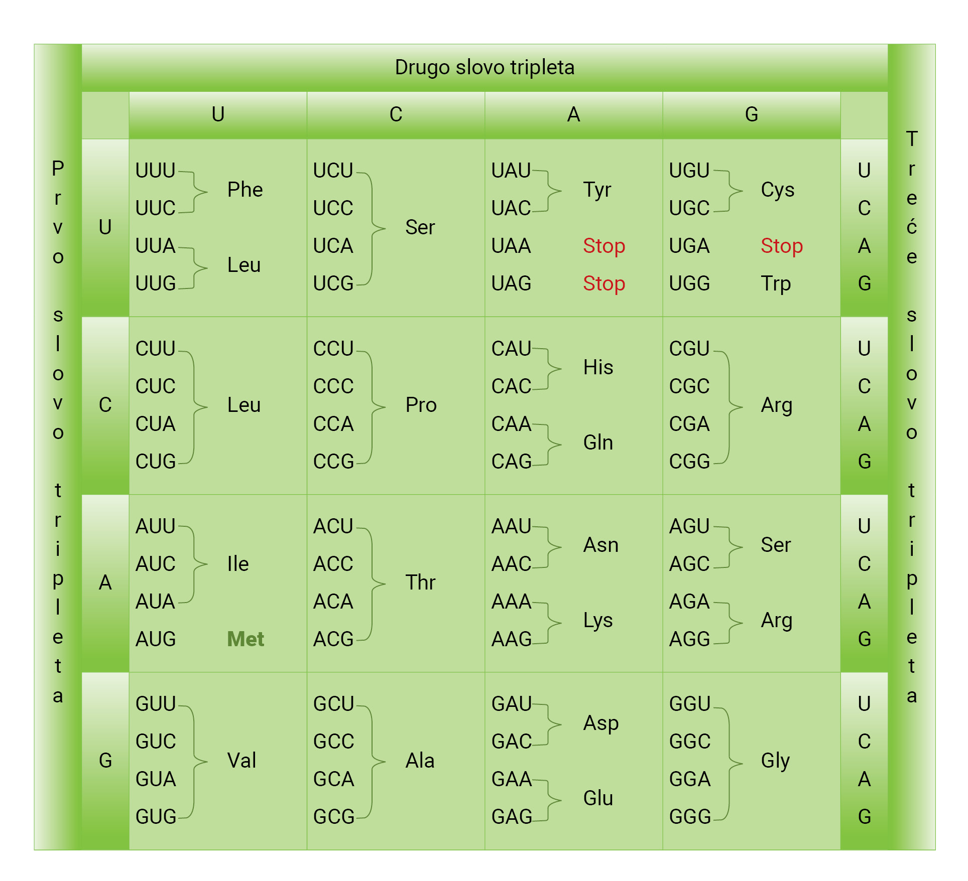 Kodoni tripleti nukleotida i kratice aminokiselina koje se kodiraju