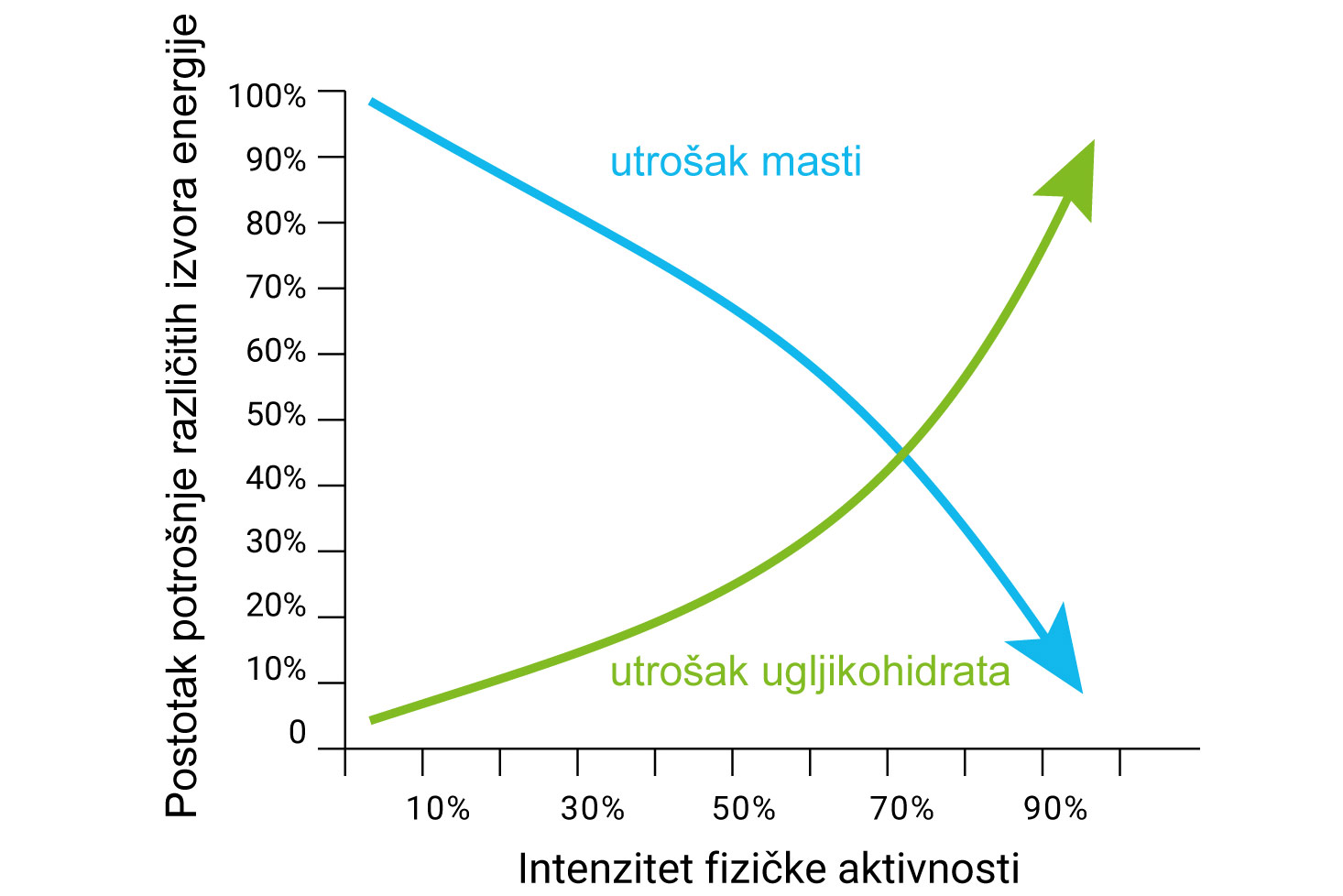 Grafički prikaz potrošnje energije u mišićima