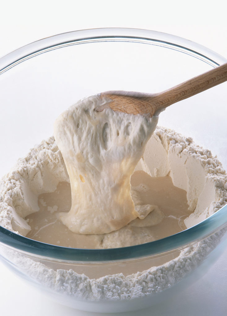 Priprema dizanog tijesta