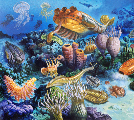 Slika 1. Prikaz brojnih skupina životinja, poput člankononožaca, žarnjaka i spužava, nastalih tijekom kambrijske eksplozije