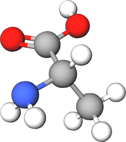 Alanin - molekula
