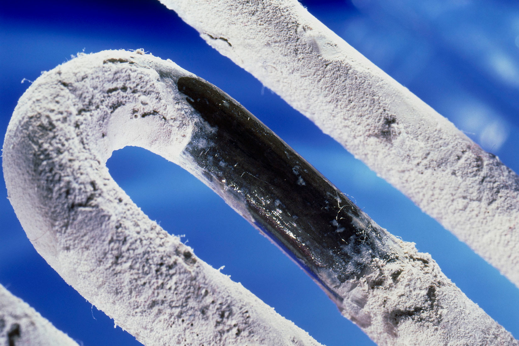 Kamenac na električnom grijaču vode. Grijač vode koji je inače crne boje, sav je prekriven bijelim talogom.