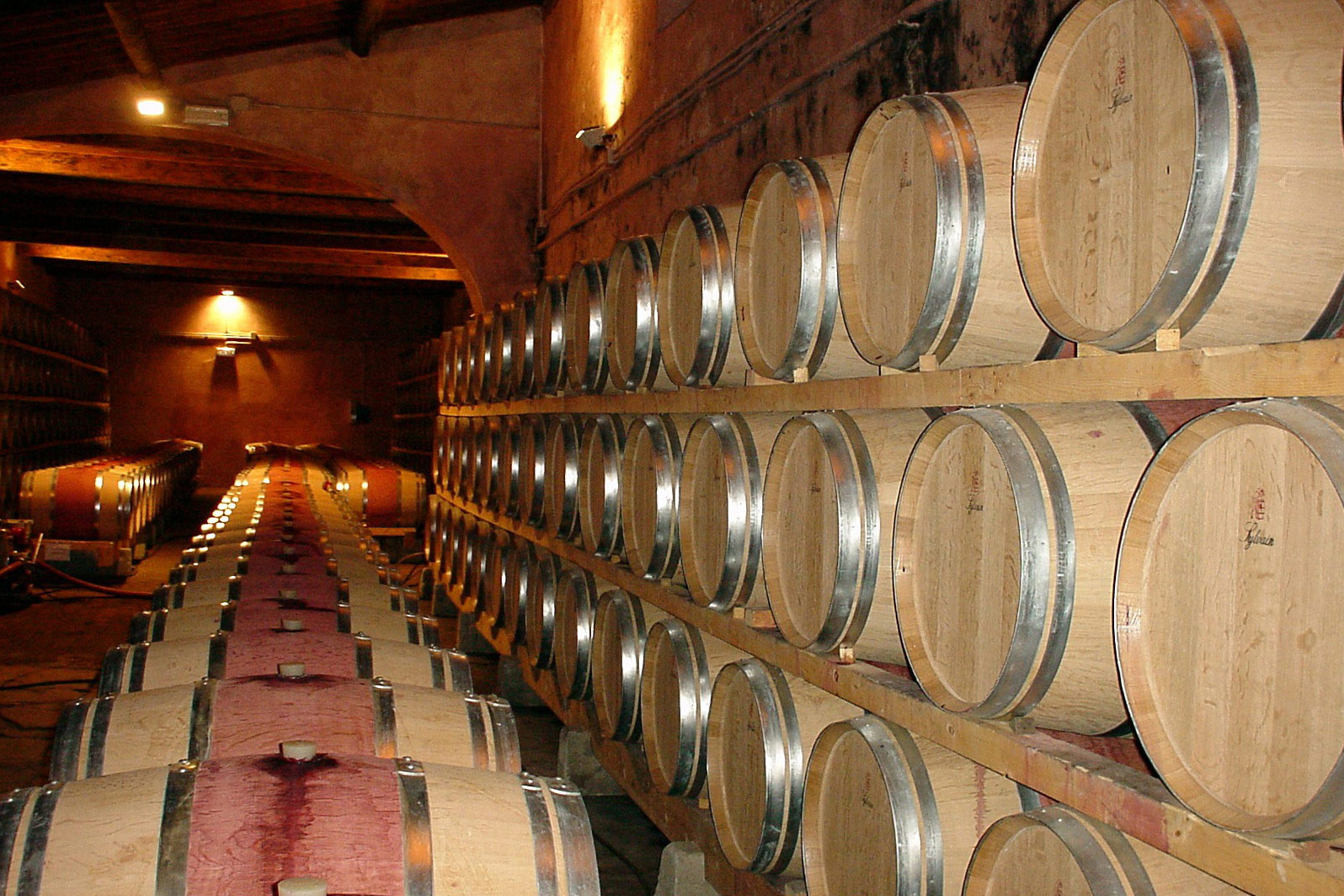 Fotografija prikazuje vinski podrum u kojem su dugi nizovi bačava.