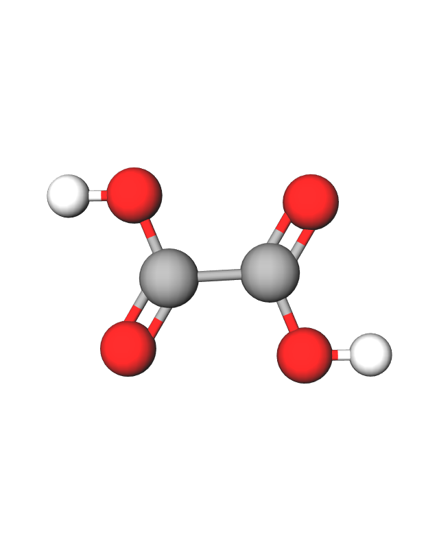 Model molekule oksalne kiseline načinjen od kuglica i štapića. Na dva atoma ugljika nadovezuju se 4 atoma kisika i 2 atoma vodika.