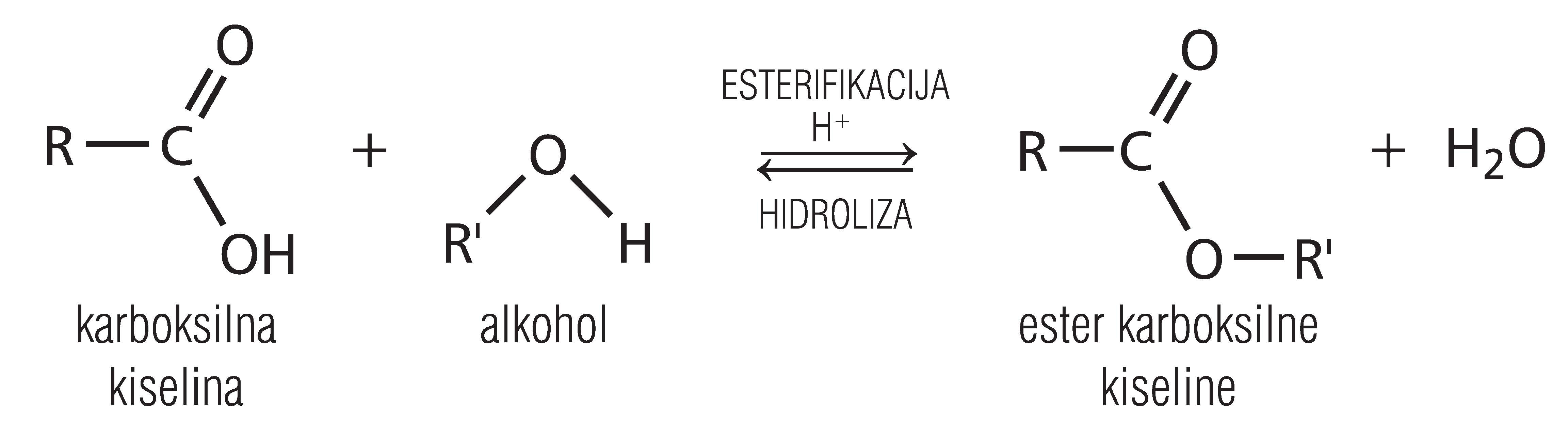Jednadžba esterifikacije