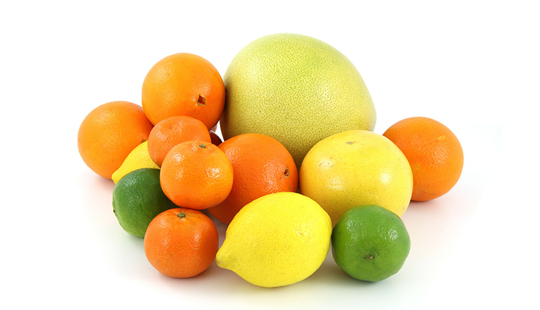 Fotografija prikazuje agrume. Vide se grejpfrut, naranče, mandarine, limete i limuni.