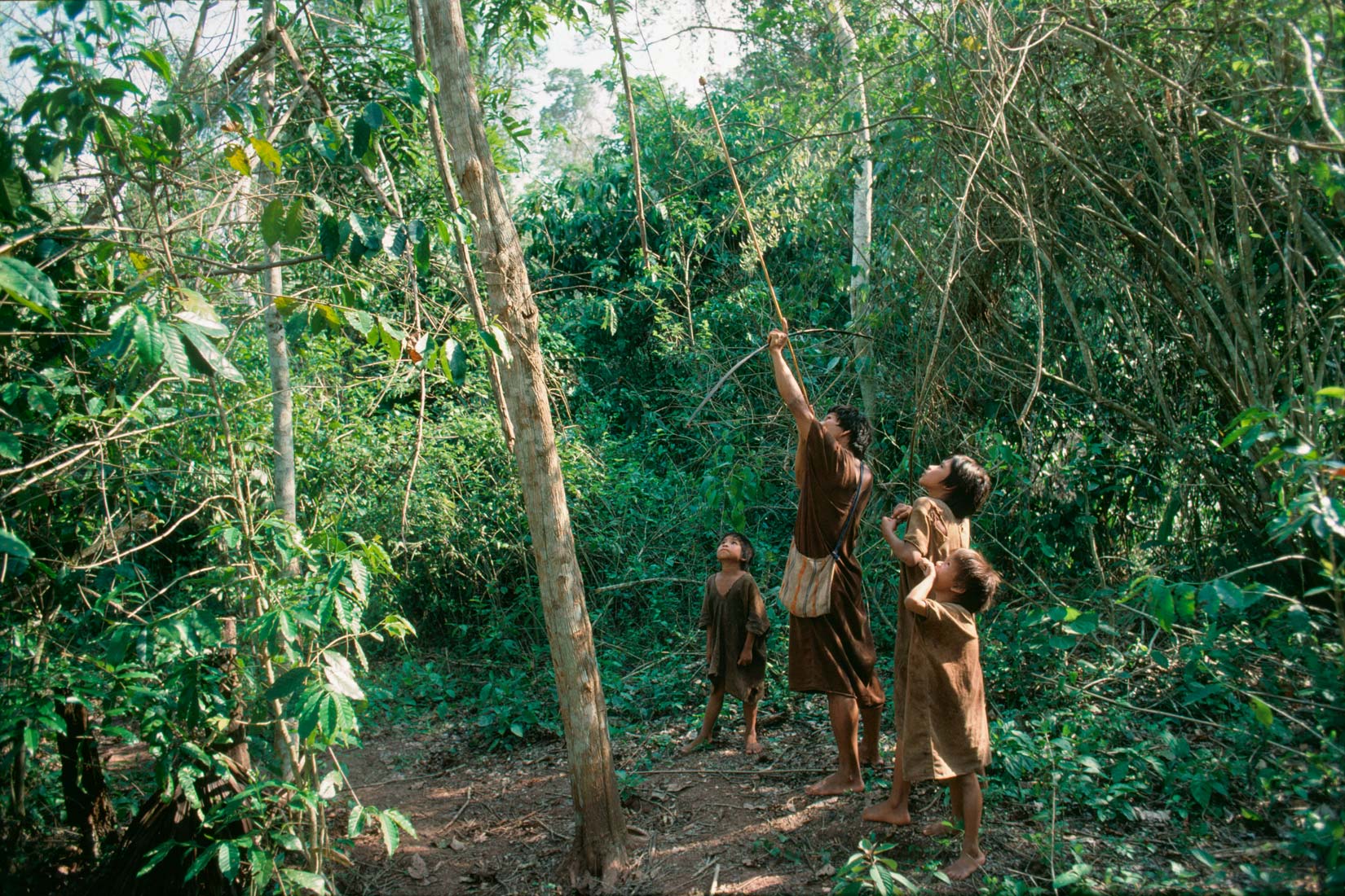 Slika prikazuje Indijanca plemena Ashaninka u lovu u šumi s troje djece koja stoje. Djeca gledaju gore , u smjeru strijele iz luka kojeg drži Indijanac u rukama. Bosi su i obučeni u jednostavne smeđe tunike, ispod koljena koje slobodno padaju.