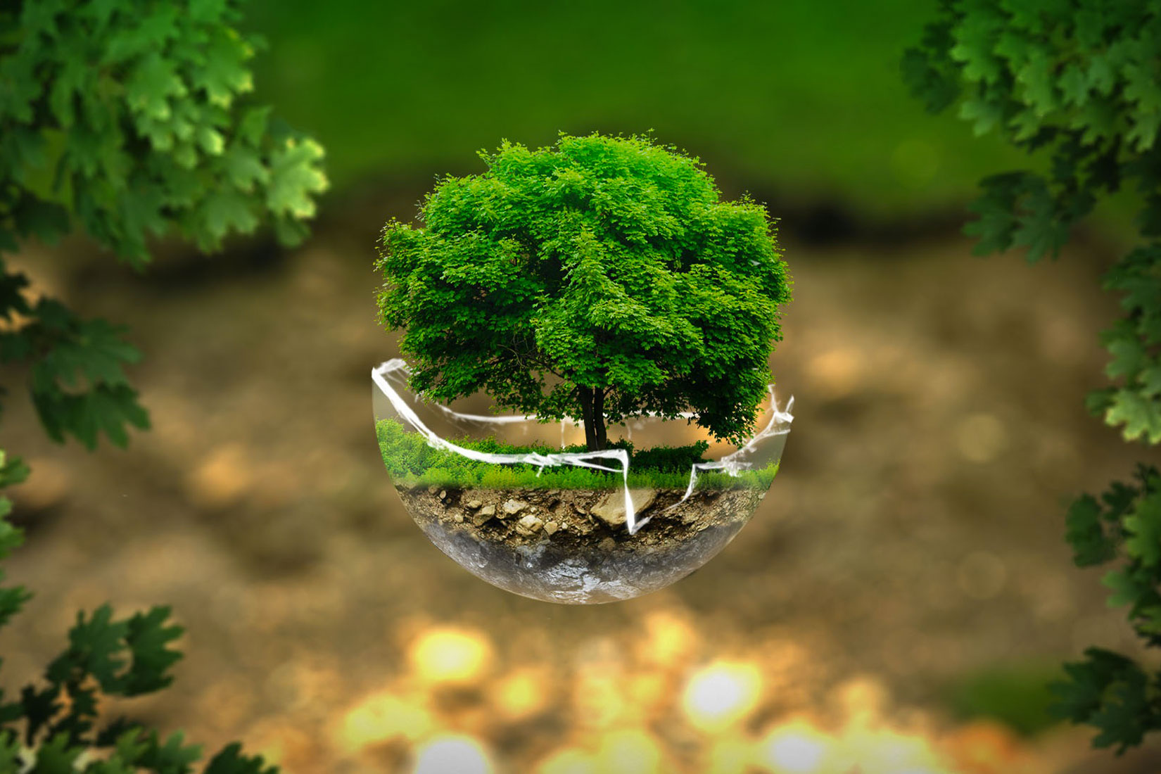 Biljke - izvor tvari na Zemlji; Fotografija prikazuje cijelo stablo s prikazom livade. Vidljiv je i presjek površine ispod tla.Fotografija je surealistična.