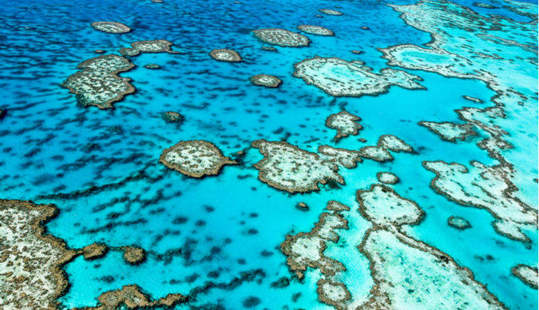Veliki koraljni greben, Australija. Na fotografiji se mogu uočiti šarene strukure razbacane ispod čiste, azurne površine mora. Krajolik podsjeća na uzorak leopardovog krzna različitih nijansi plave boje