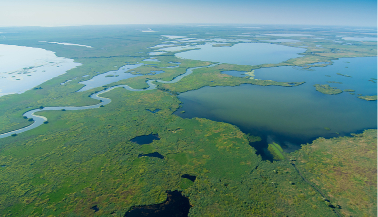Delta Dunava. Fotografija prikazuje zeleni, vegetacijom bogati pejzaž, nalik na ogromno močvarno područje. Krajolik je ispresjecan jezercima i kanalima