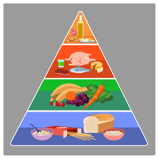 Food pyramid