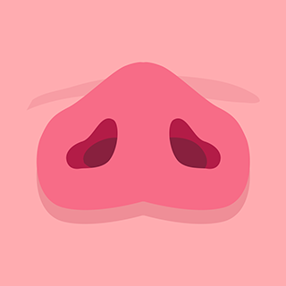 Snout